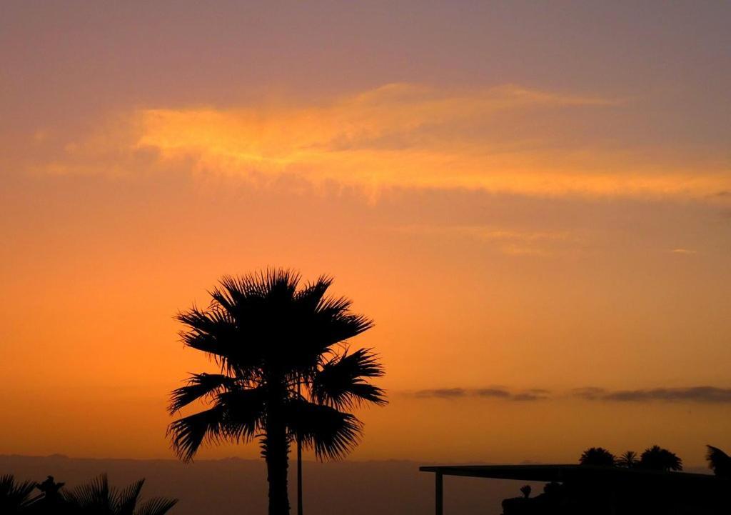 Beach-Front Tenerife Sth Sea And Pool View Costa Del Silencio Exterior photo